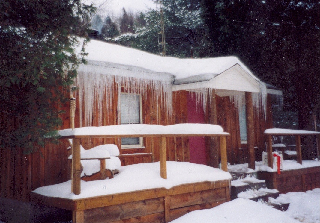 winter.jpg